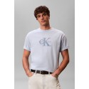 CAMISETA LV04RF819G CALVIN KLEIN